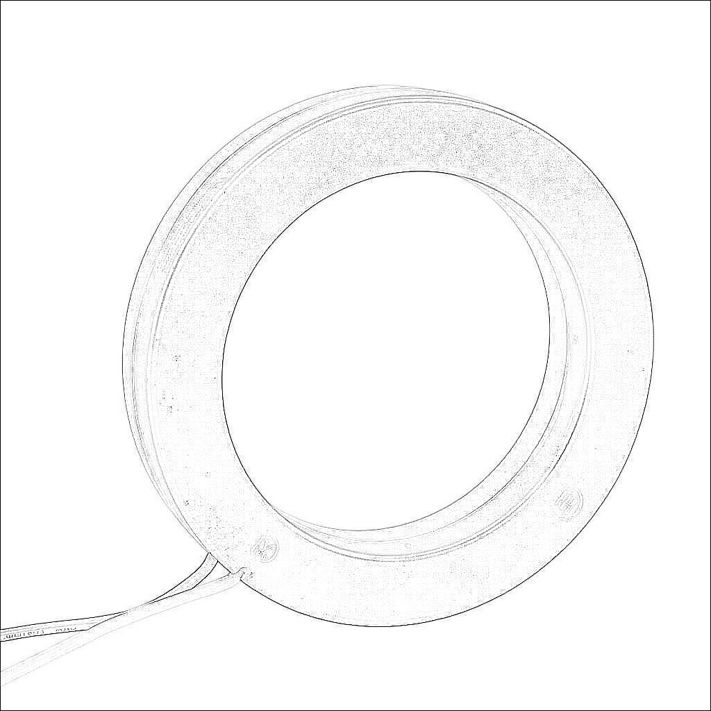 19RL-252