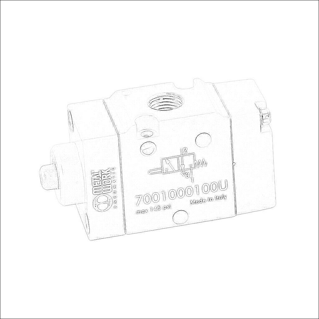 7001000100U