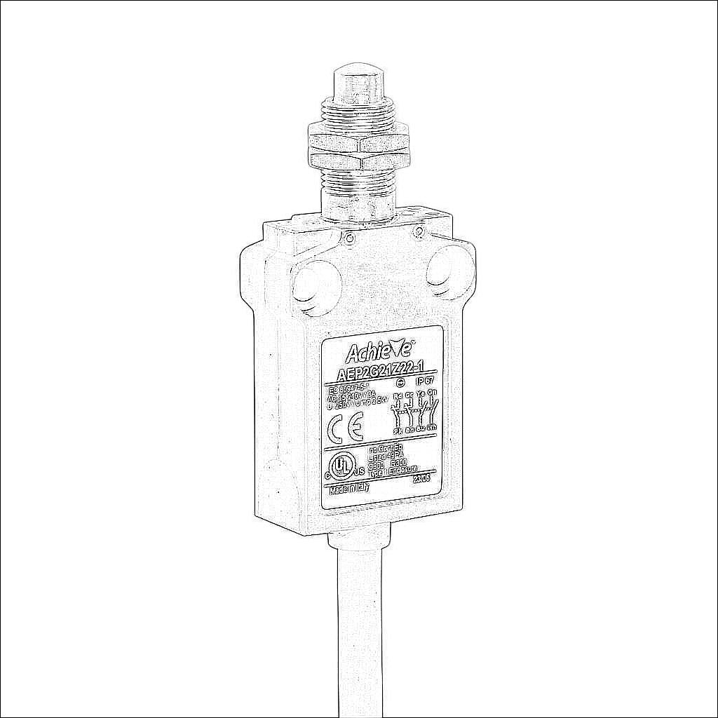AEP2G21Z22-1