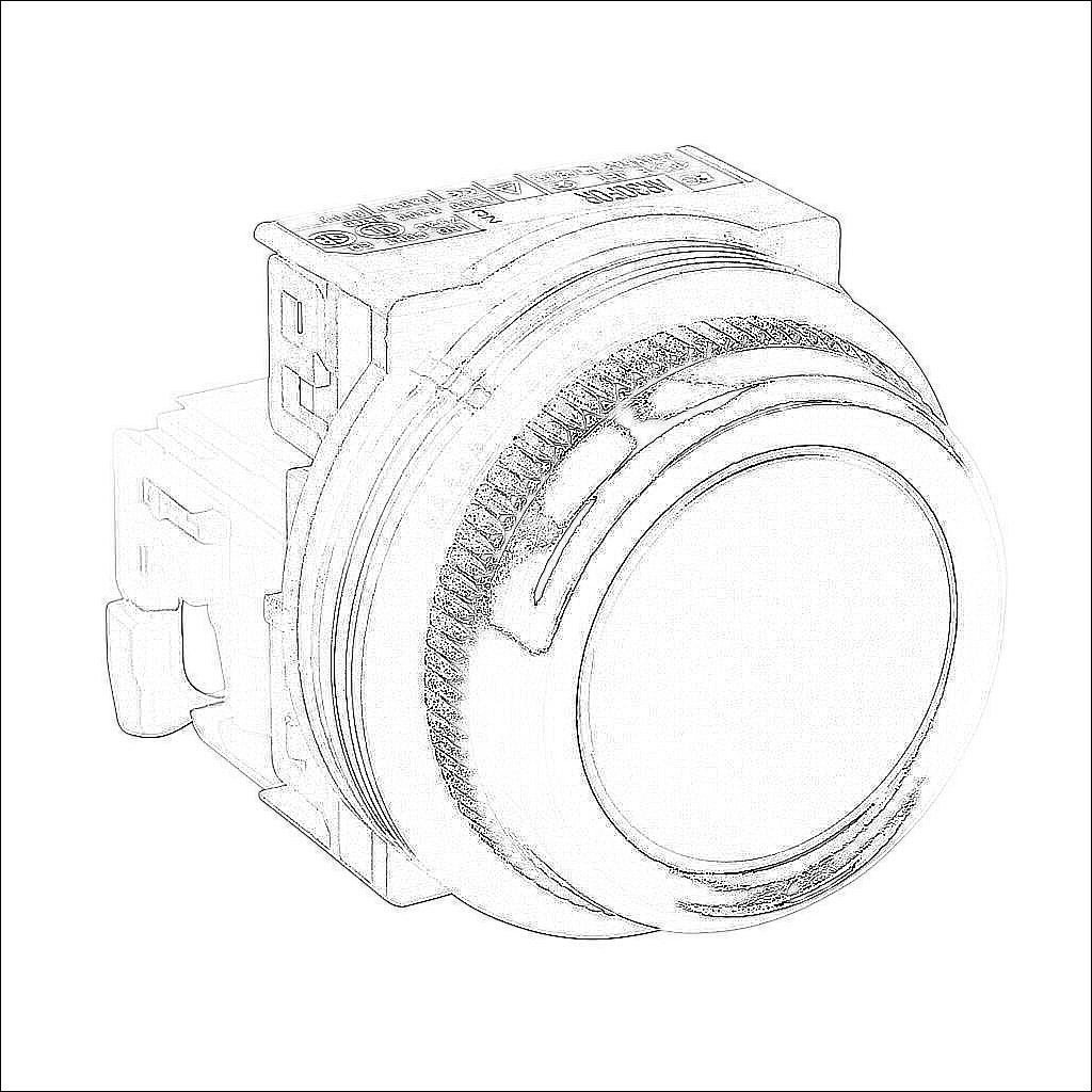 AR30F0R-10BZC