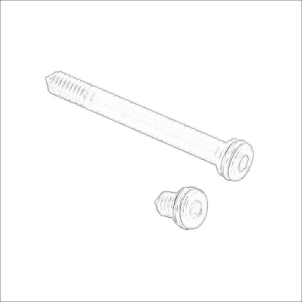 CMV-ACC08