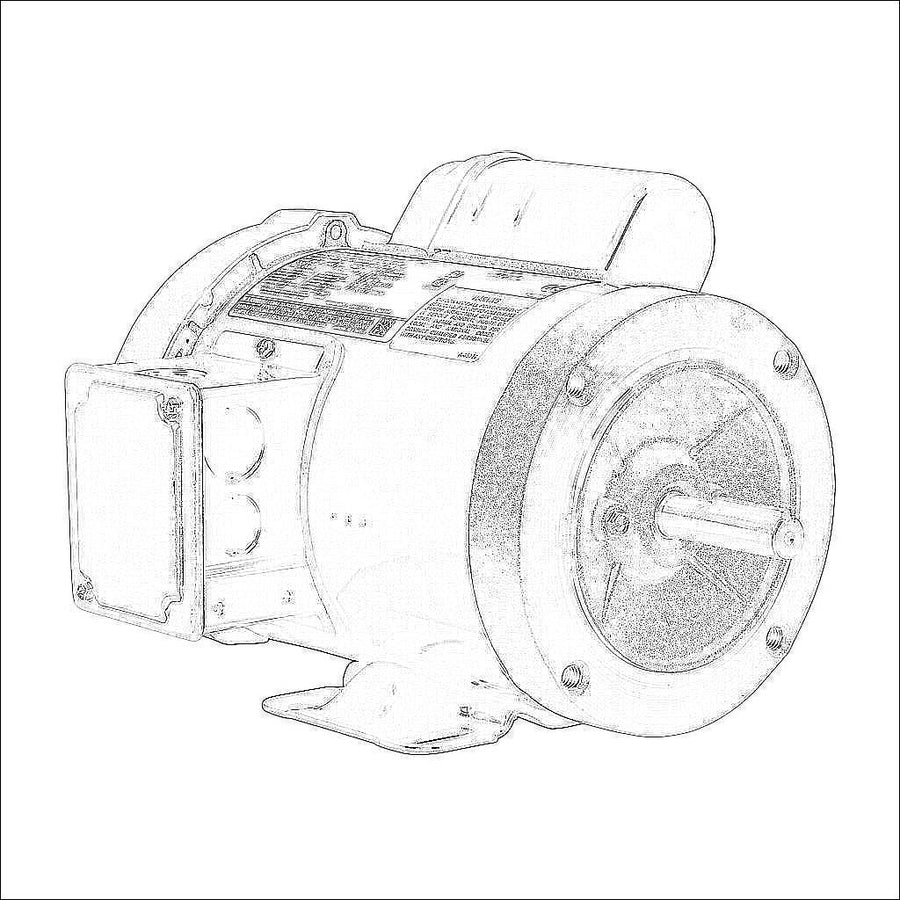 D313