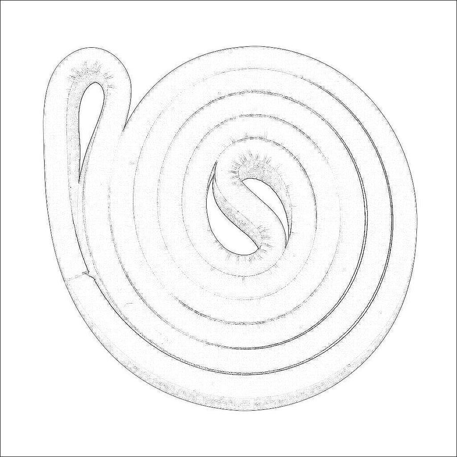 EA9-8-GSK