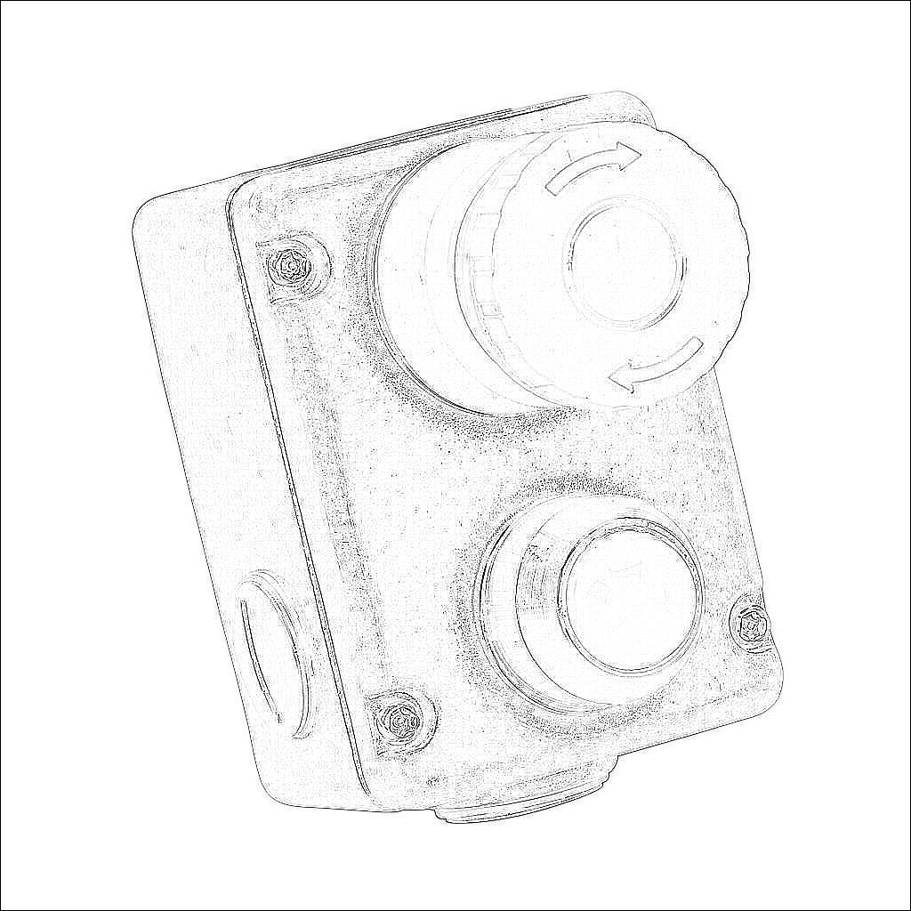 ESL-SSL-232020-AS