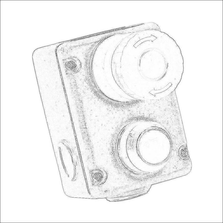 ESL-SSL-232020-AS