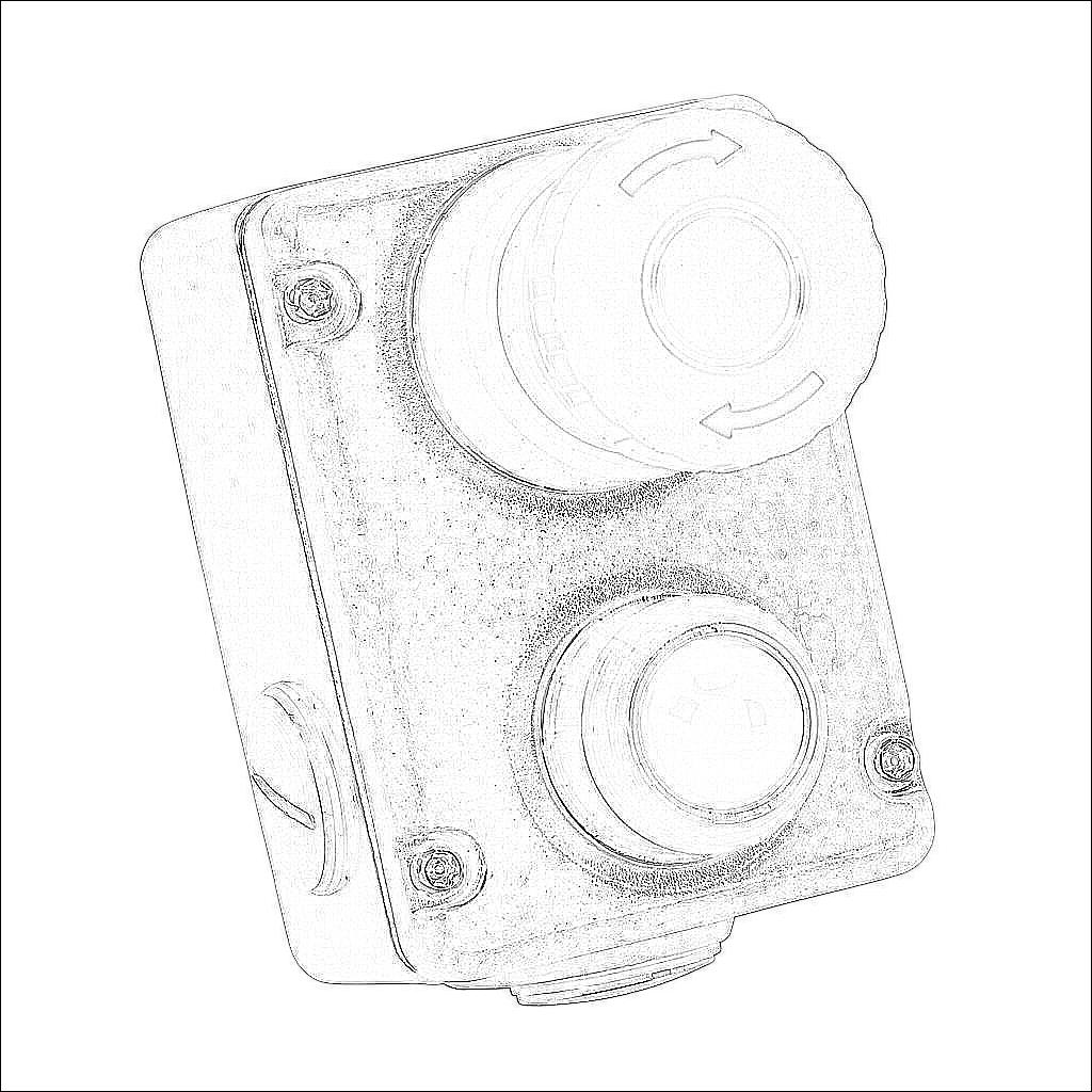 ESL-SSL-232020-BS