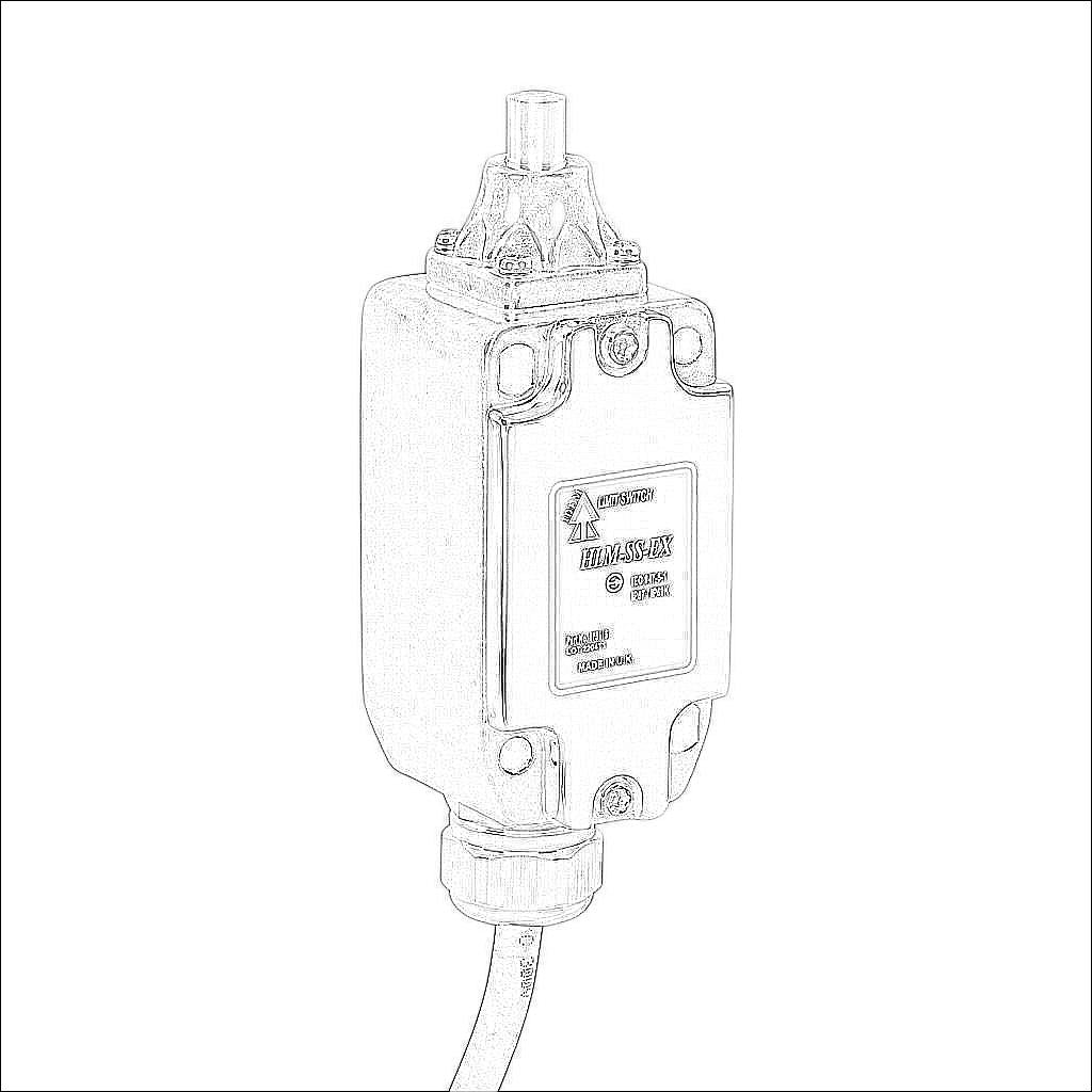 HLM-SS-EX-175115