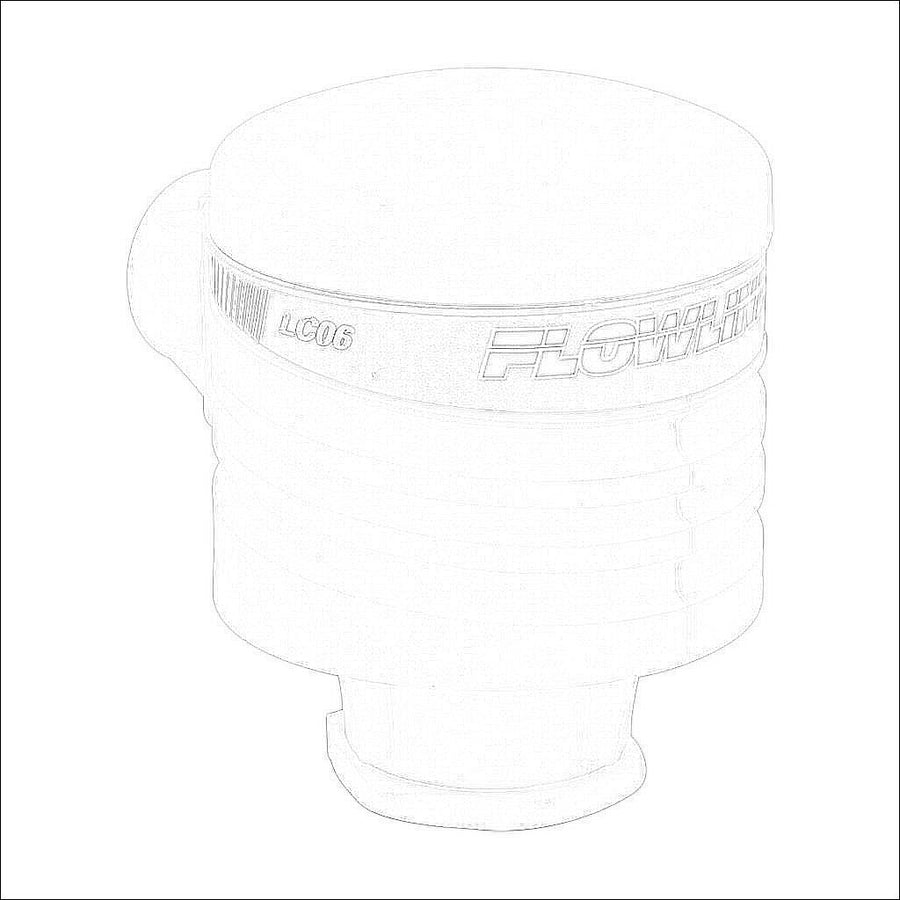 LC06-1001