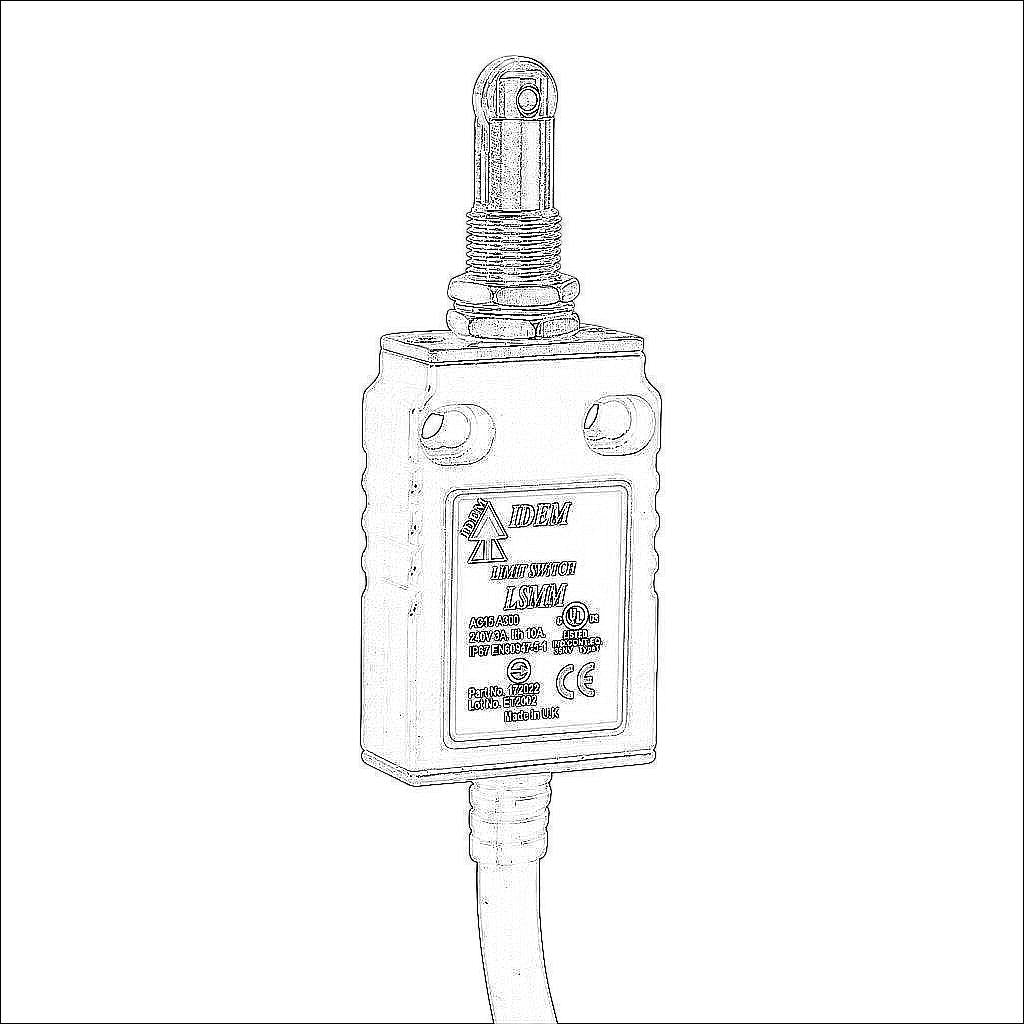 LSMM-172022