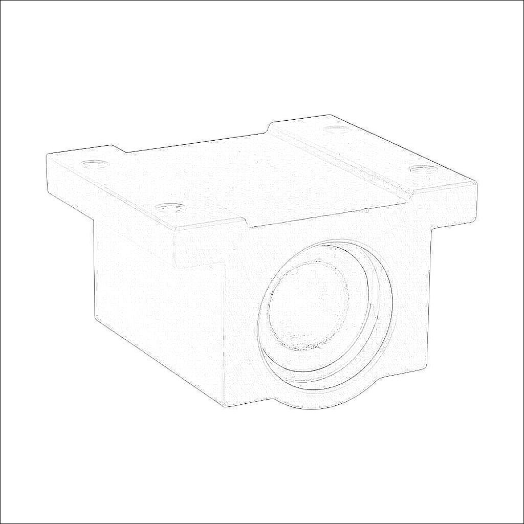 P08