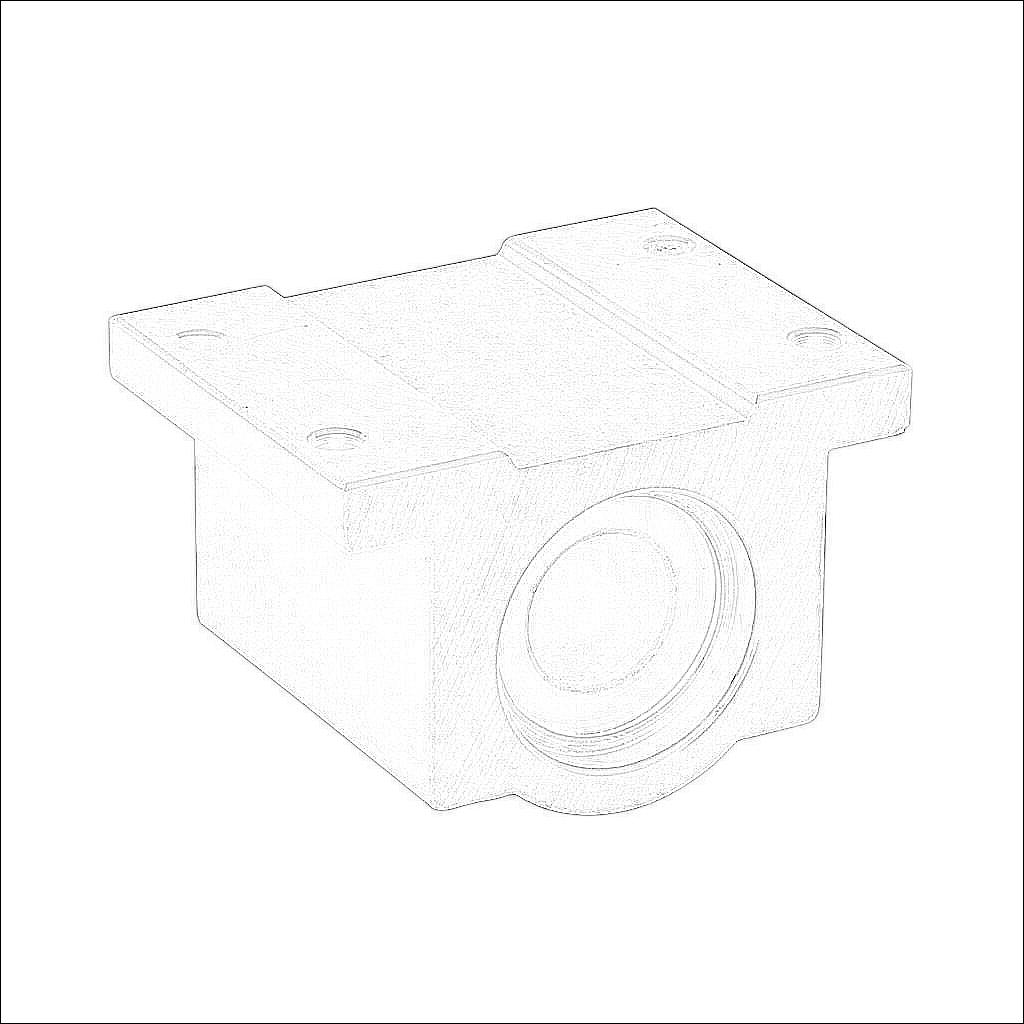 P10C