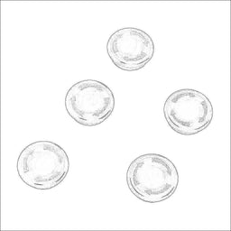 PL1298P-5