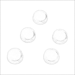 PL1308PN-5