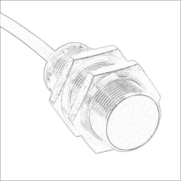 PNK6-CP-3A