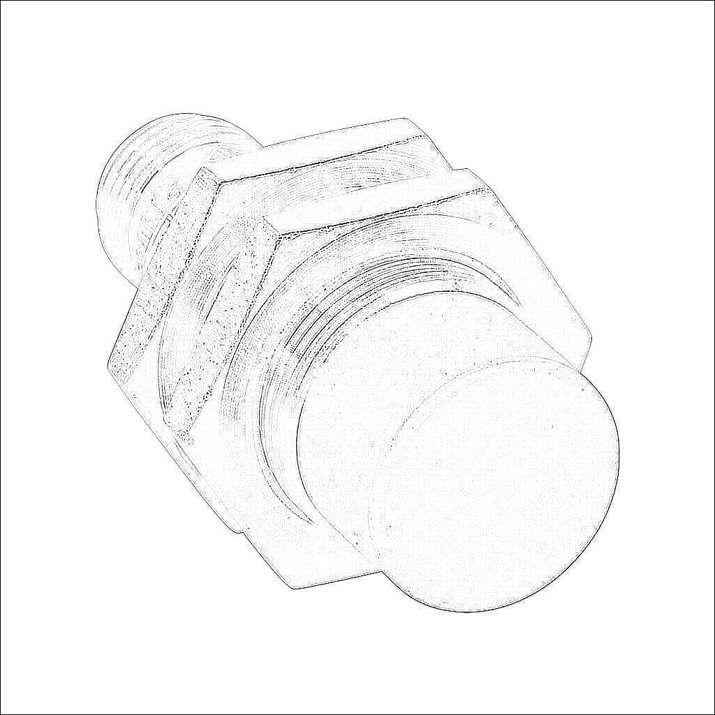 PNK6-CP-4H