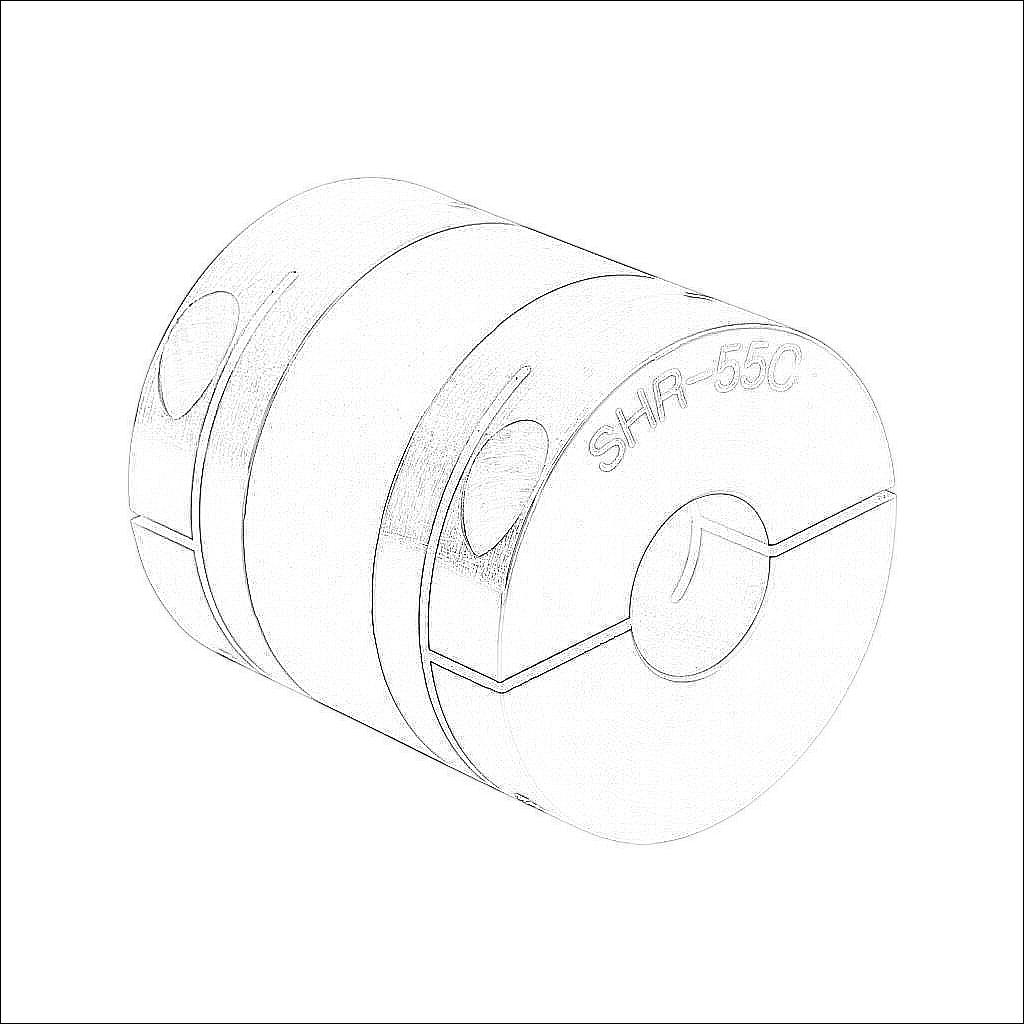 SHR-55C-19-19