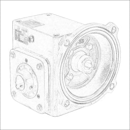 WGSS-175-010-HA