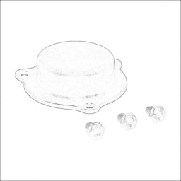 WGSS-175-OC