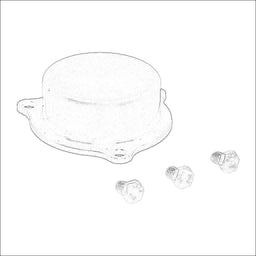 WGSS-206-OC