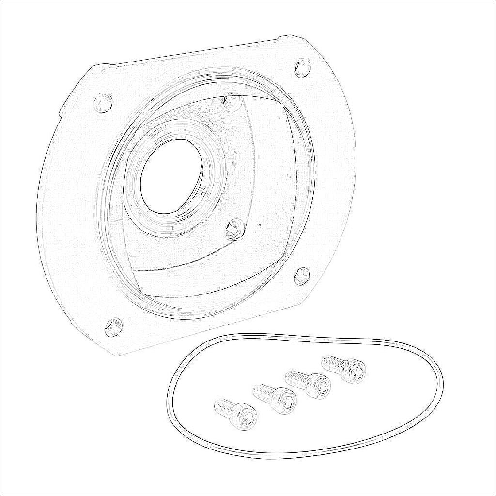 WGSS-237-OF