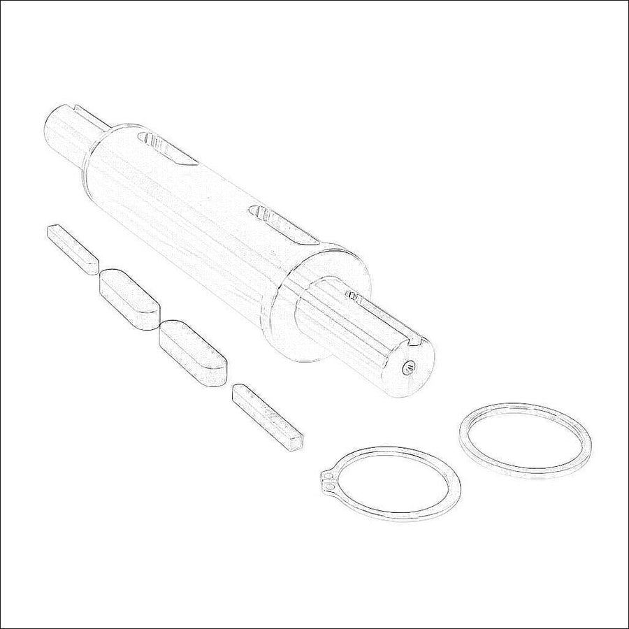 WGSS-262-DS-1125