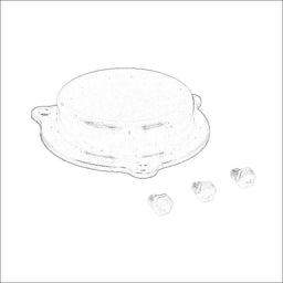 WGSS-262-OC