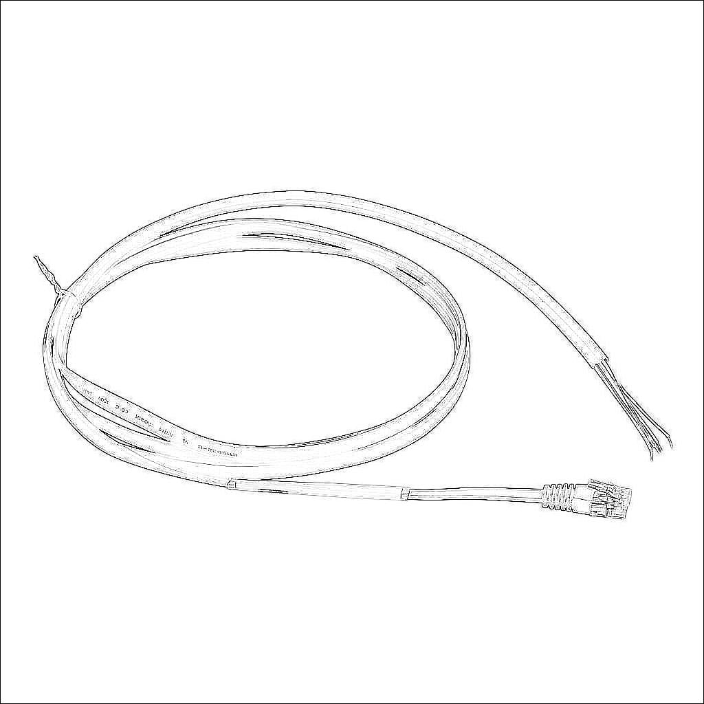 ZL-RJ12-CBL-2P